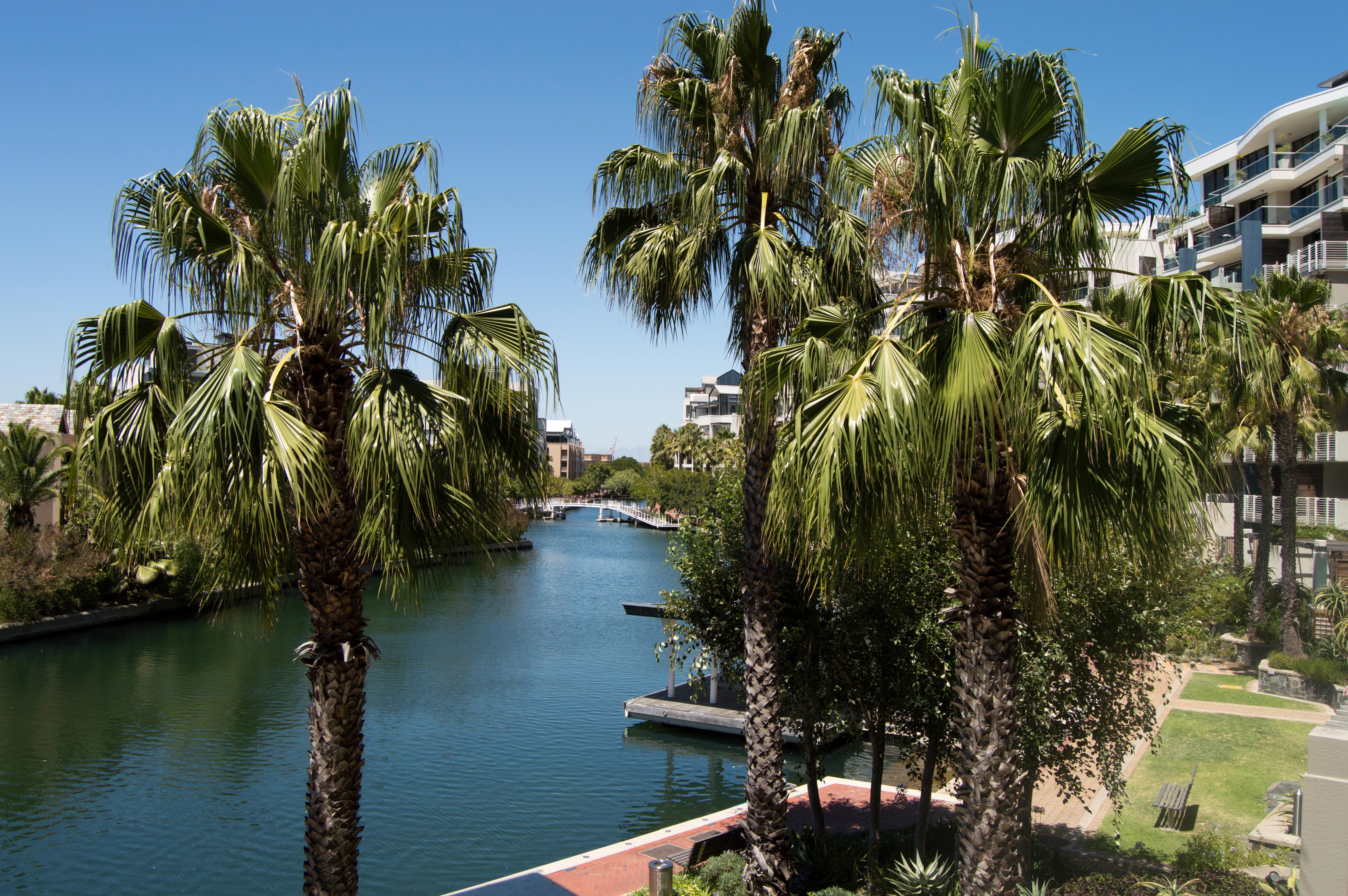 Waterfront Village Città del Capo Esterno foto